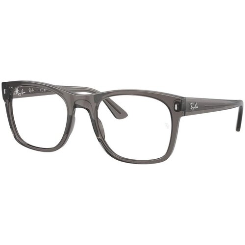 Ray-ban RX7228 8257 L (55) Siva/Kristalna Cene