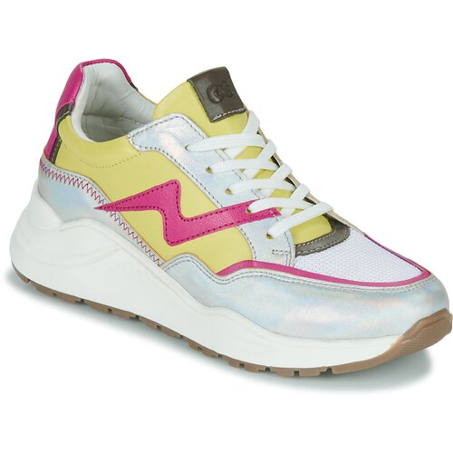 Citrouille et Compagnie NEW 1 Multicolour Slike
