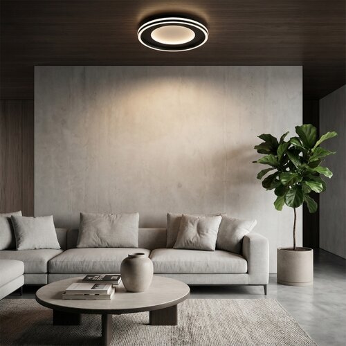  Brilagi - LED prigu&amp;scaron;iva svetiljka TRIVARO LED/56W/230V 3000-6000K, prečnik 30 cm + sa daljinskim upravljačem Slike