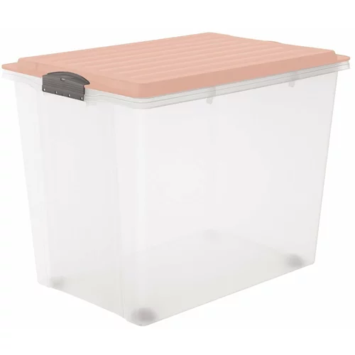 Rotho Plastična škatla za shranjevanje s pokrovom Compact - Rotho