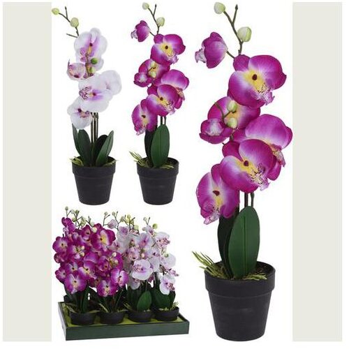  ORHIDEJA 20*10*47CM Cene