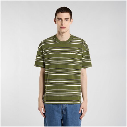 Dickies Majice s kratkimi rokavi East liberty stripe tee Zelena Slike