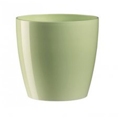 Dimartino saksija rio baby green 30 ( 400243 ) Cene