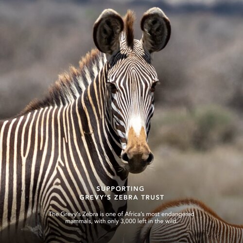 Chantecaille Luminescent Eye Shades biserno sjenilo za oči Zebra 2.5 g Slike