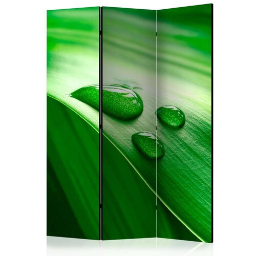  Paravan u 3 dijela - Leaf and three drops of water [Room Dividers] 135x172 Slike