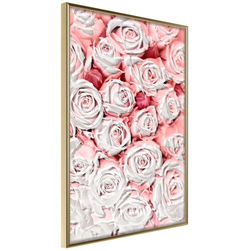  Poster - Purity 30x45 Slike