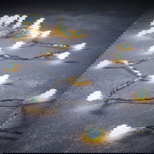  Novogodišnja dekoracija - LED STRING BERRY 270cm 1087843 - White - EDL Cene