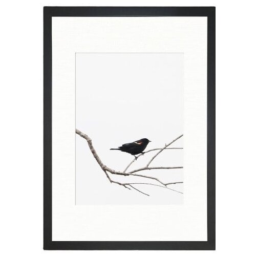 Tablo Center slika birdy, 24 x 29 cm Slike