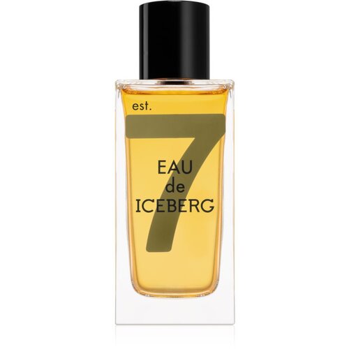 Iceberg Eau de Amber toaletna voda za muškarce 100 ml Cijene