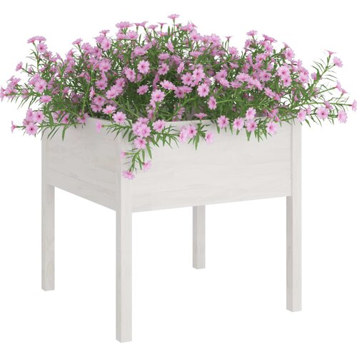  Vrtne sadilice 2 kom bijele 70 x 70 x 70 cm od masivne borovine Slike
