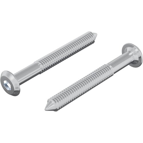 vidaXL Vijak 2 pcs srebrna M6 x 50 mm Jeklo, (5000163835) Cene