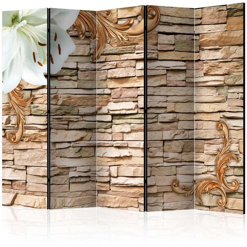 Paravan u 5 dijelova - Royal Chic II [Room Dividers] 225x172 Slike