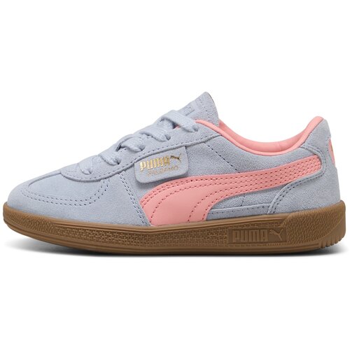 Puma Superge 'Palermo' svetlo modra / roza Cene