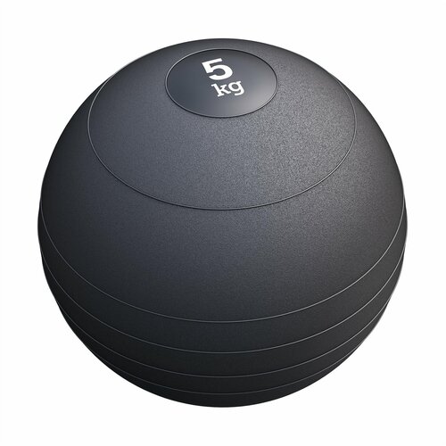  Slam Ball Medicinska lopta (5 kg) Cene