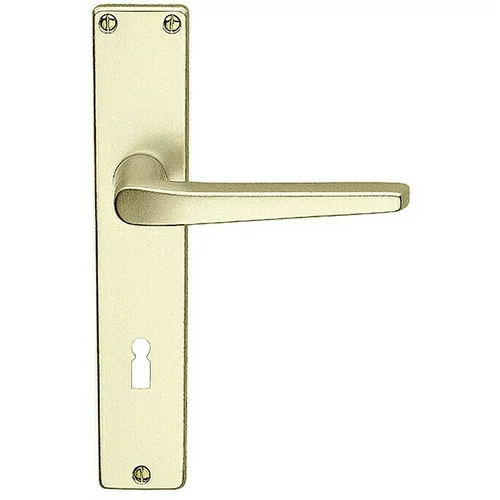 Lienbacher Set kvaka za sobna vrata Europa (Eloksirano, Standardna brava za sobna vrata, Zlatne boje)