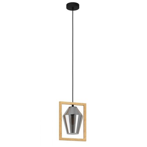 Eglo visilica Viglioni 99701, 1x E27, 23 cm, crna, hrast i dimljeno staklo Cene