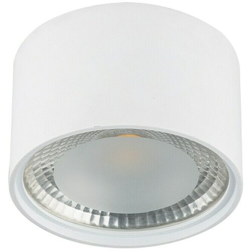 Globo Okrugla stropna LED svjetiljka (12 W, Ø x V: 113 mm x 8 cm, Bijele boje, Prozirno, Topla bijela) Cijene