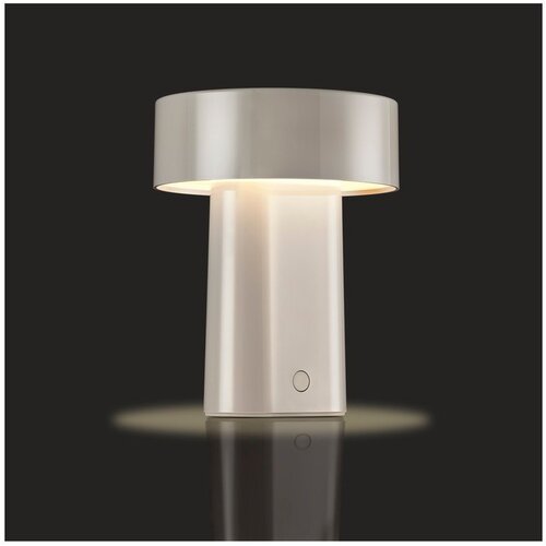 Zone Sivo-bež plastična LED namizna svetilka (vi&amp;scaron;ina 18 cm) Oblong &amp;ndash; Slike