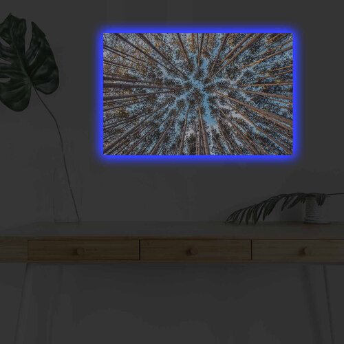 Wallity Slika sa LED osvetljenjem 4570DHDACT-081, 45x70 cm Cene