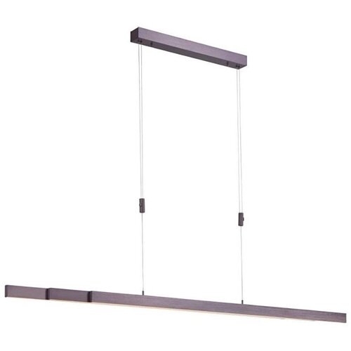 PAUL NEUHAUS 2568-24 - led prigu&scaron;iva luster na sajli adriana LED/14W/230V Cene
