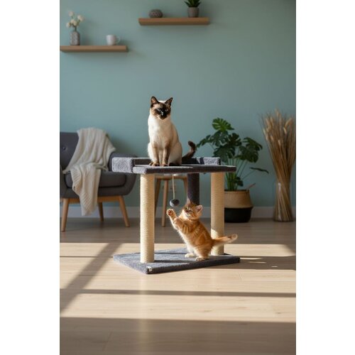 Paws & Whiskers grebalica za mačke liya, antracit Cene