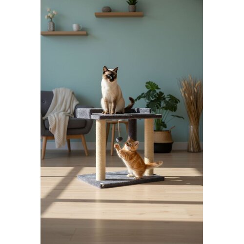 Paws & Whiskers Grebalica za mačke Liya, antracit Cijene