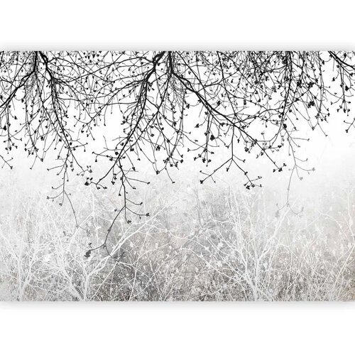  Foto tapeta - Natural Brightness 400x280 Slike
