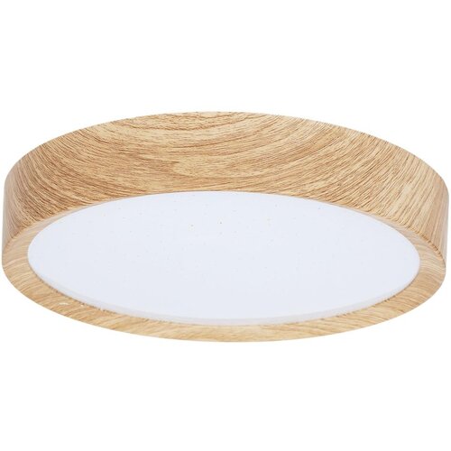 Brilagi LED plafonsko svetlo NATURA LED/12W/230V 3000K prečnik 26,3 cm Slike
