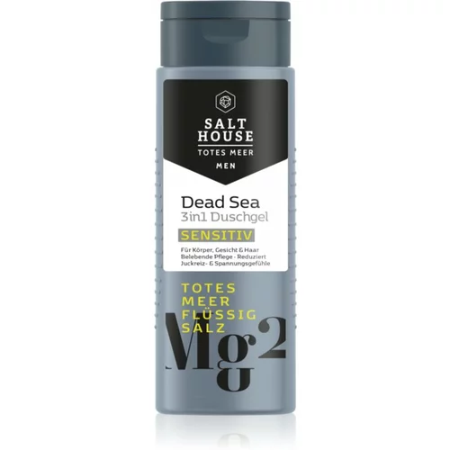 Salt House Dead Sea Men gel za prhanje za moške 3v1 250 ml