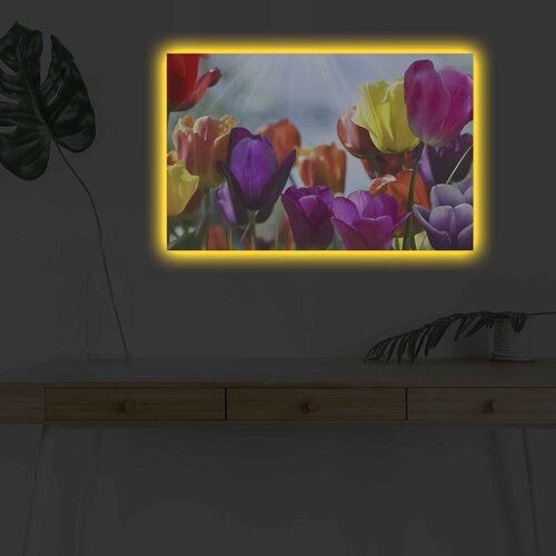 Wallity Slika sa LED osvetljenjem 4570DHDACT-042, 45x70 cm Cene