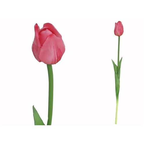  TULIPAN PVC 47CM Cijene