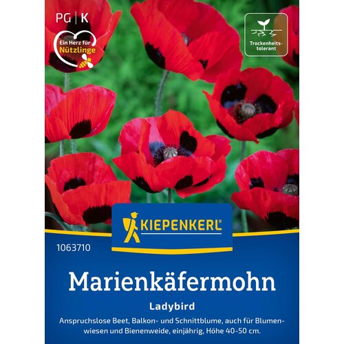 KIEPENKERL Pritlikavi mak "Ladybird" - 1 pkt. Cene