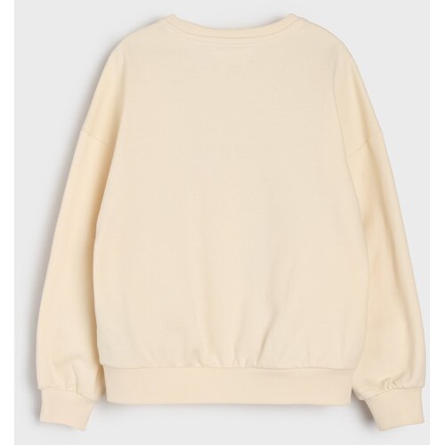 Sinsay Bluza s okruglim izrezom s printom Capybara Slike
