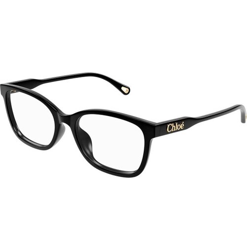 Chloe CH0276OA 001 - ONE SIZE (54) Slike