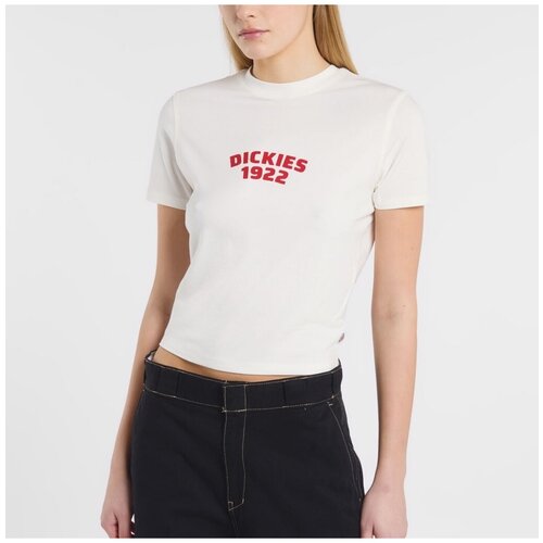 Dickies Majice & Polo majice DK0A4Z8FC481 CENTER LOGO Bela Cene