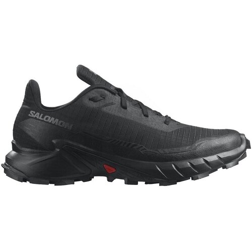 Salomon Čevlji Alphacross 5 GTX moški, črna barva Cene