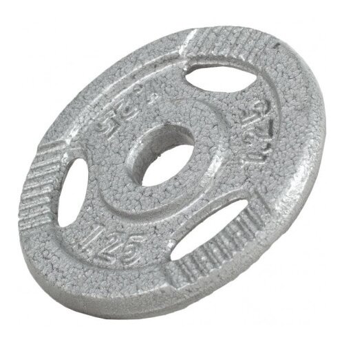 Gorilla Sports Teg od livenog gvožđa 1,25 kg (30 mm u sivoj boji) ( 100542-00003-0005 ) Slike