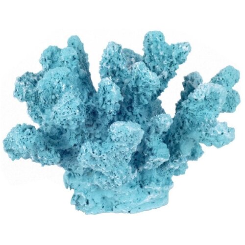Signes Grimalt Kipci in figurice Ornament Coral Mar. Modra Slike