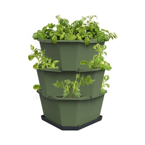 Gusta Garden Paul Potato Starter - 3 nadstropja - zelena Slike