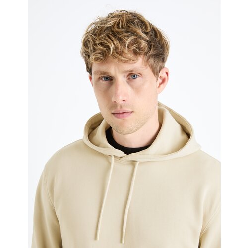 Celio Fesix Hoodie - Men Slike