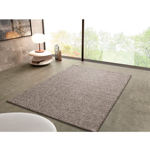 Universal Siva/bež preproga 120x170 cm Petra Liso &amp;ndash; Slike