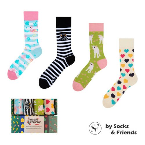 Socks set čarapa za devojčice 4/1 Girly ( 3434 ) Slike