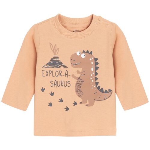 Cool club majica DR CCB3000864 M smeđa 74 Slike