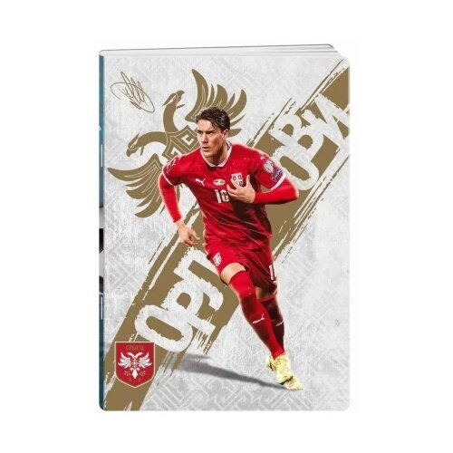 Best Buy premium sveska 50 lista fss - odaberite motiv a5 vlahović latajn ( B2C01871 ) Cene