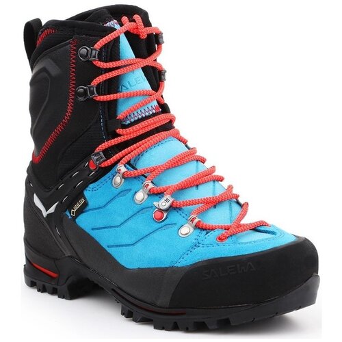 Salewa Pohodništvo WS Vultur EVO GTX 61335-8610 Večbarvna Cene
