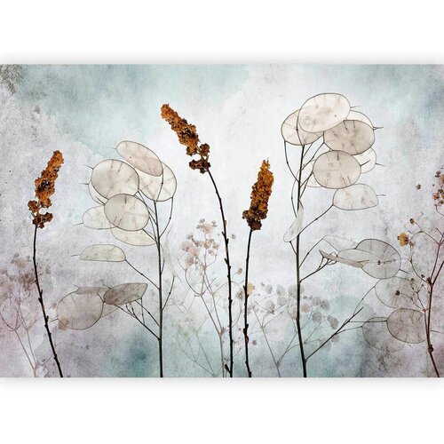Artgeist Fototapeta Lunaria In The Meadow, 100x70cm Cene
