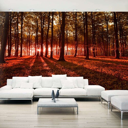  Samoljepljiva foto tapeta - Autumn Morning II 490x280 Slike