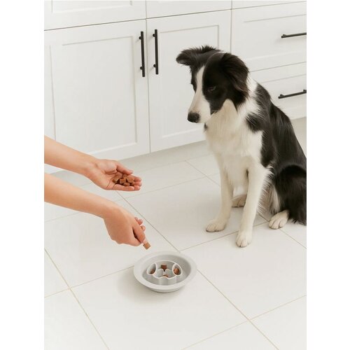 Sinsay Posuda za pse Cijene