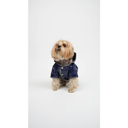 Paws & Whiskers Odelo za pse Moncler, Indigo Cene