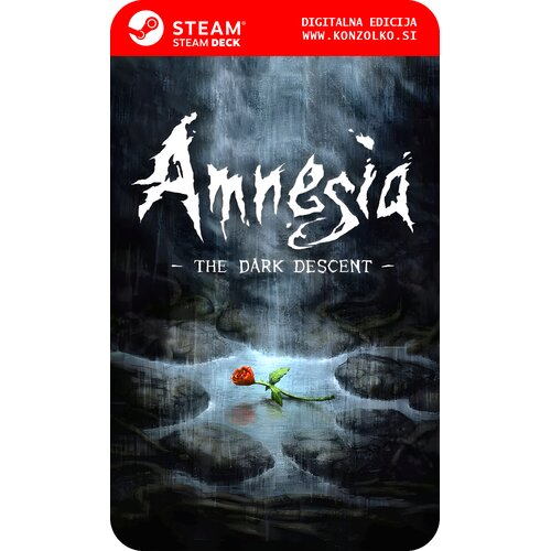  Amnesia The Dark Descent - Steam koda brez &scaron;katlice (WINDOWS PC | STEAM DECK) Cene